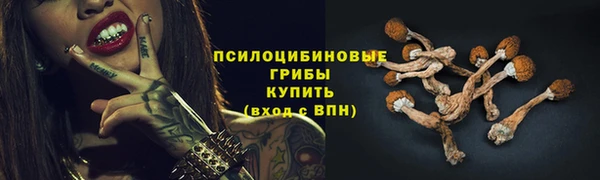 соль ск Медногорск