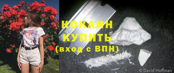 соль ск Медногорск