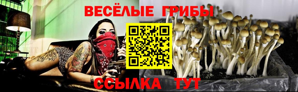 Псилоцибиновые грибы мухоморы Рыбинск